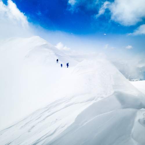 Photo #11842214