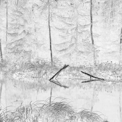 ЭСКИЗЫ ПРИРОДЫ