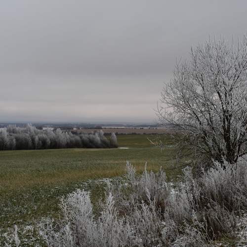 Photo #11842376