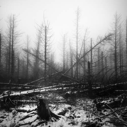 Photo #11842408