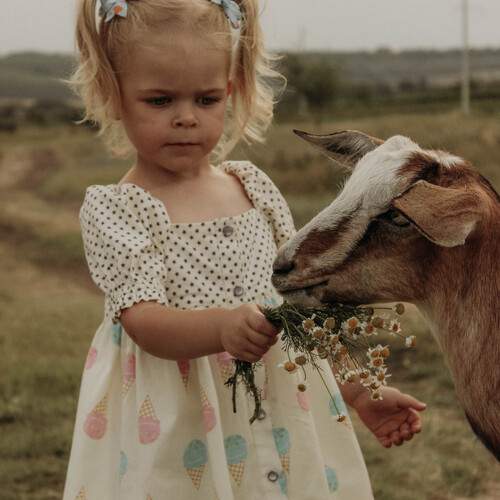 Photo #11842478