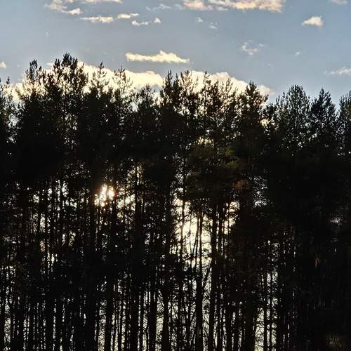 Photo #11842583