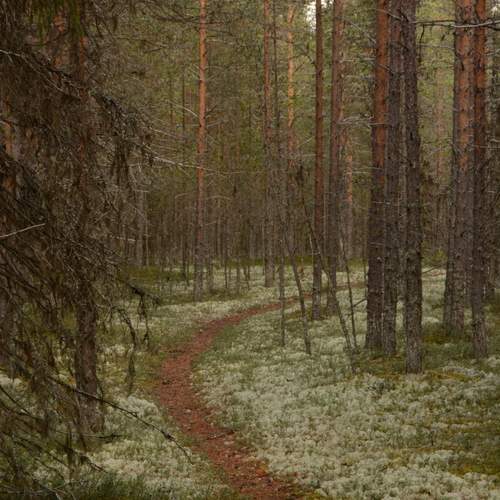 Photo #11842602