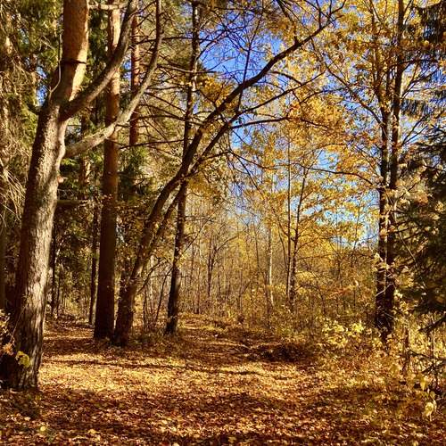 Photo #11842606