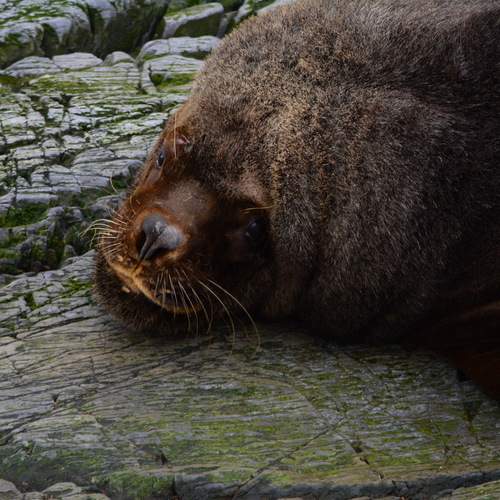 Photo #11842850