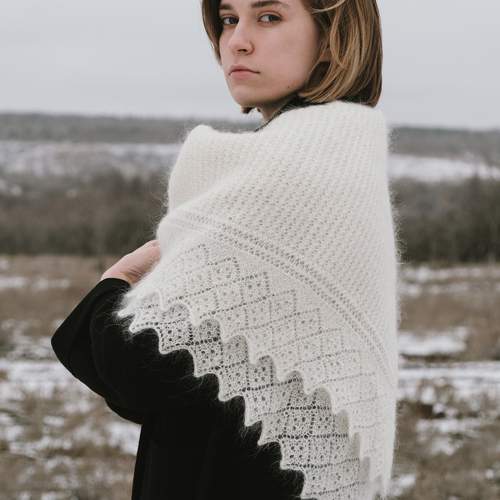 Photo #11842855