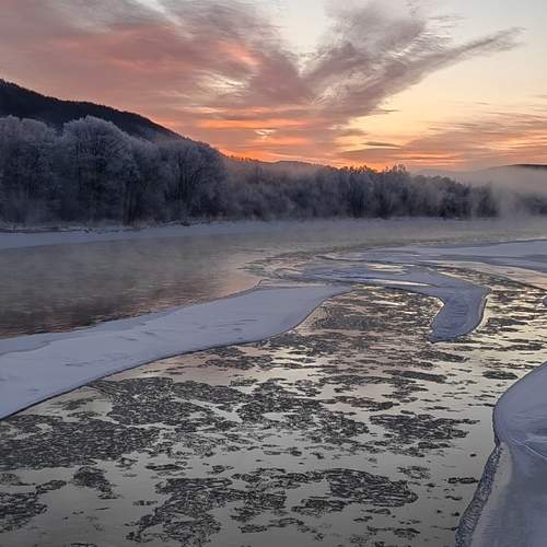 Photo #11842856