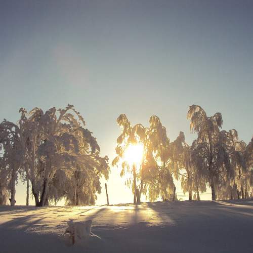Photo #11842869