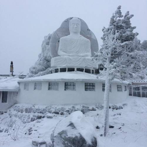 Photo #11842870