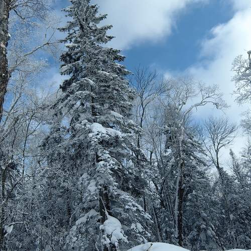 Photo #11842873