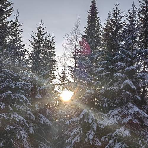 Photo #11842884
