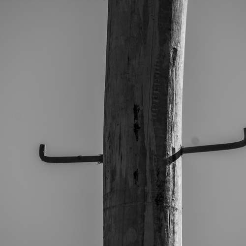 Photo #11843016