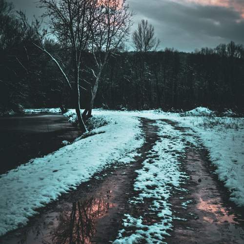 Photo #11843034