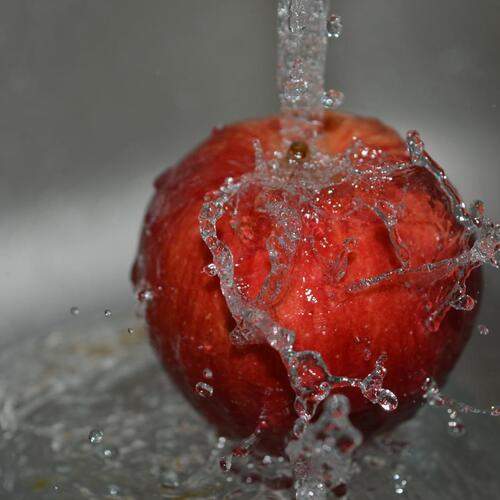 Photo #11843108