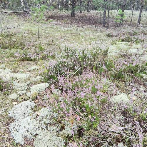Photo #11843338