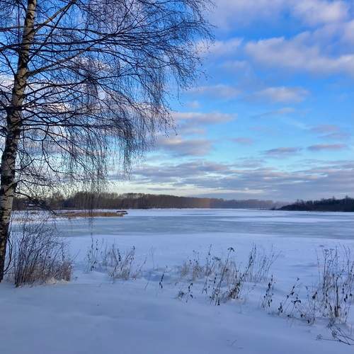 Photo #11843361