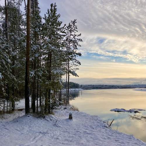 Photo #11843367