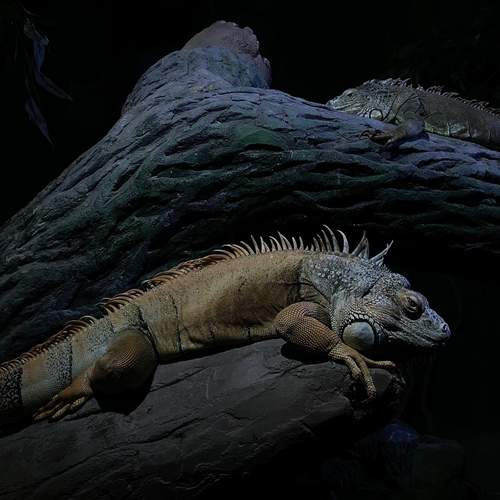 Photo #11843373
