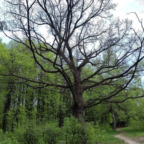 Photo #11843446