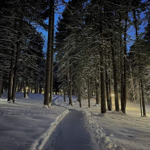 Photo #11843481