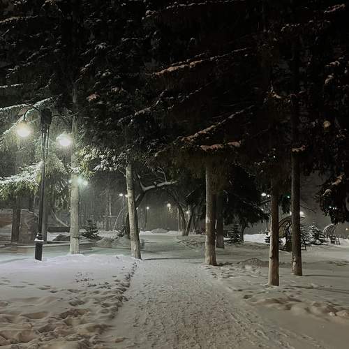 Photo #11843482