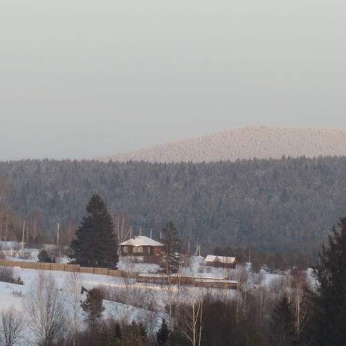 Photo #11843532