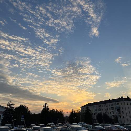 Photo #11843534