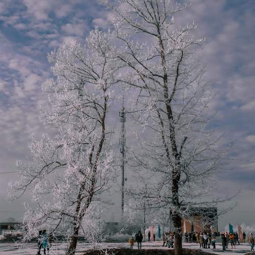 Photo #11843607