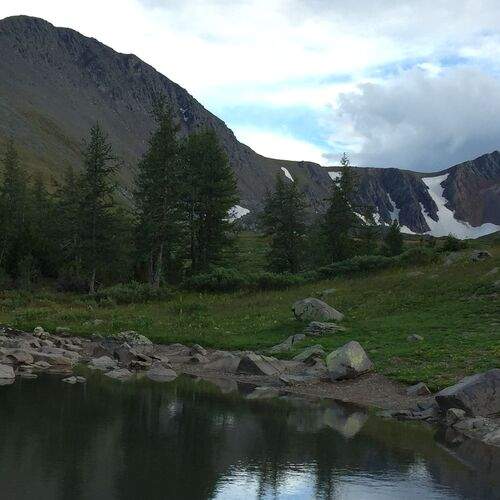 Photo #11843783