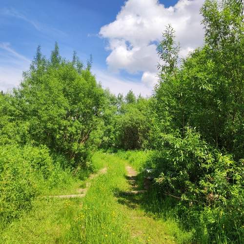 Photo #11843983