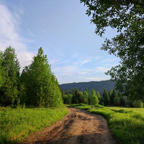 Photo #11843998