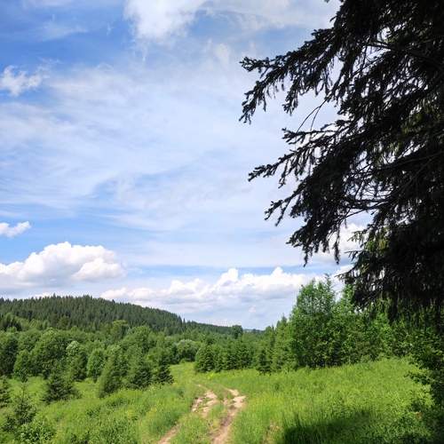 Photo #11844016