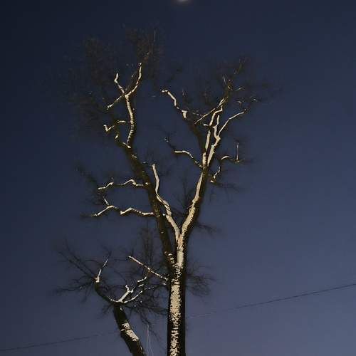 Photo #11844056