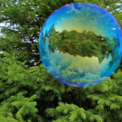 Photo #11844058