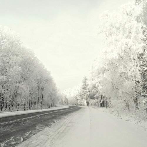 Photo #11844067