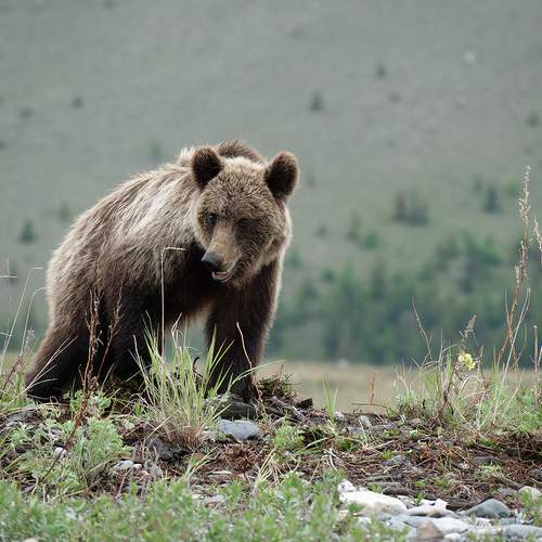 Photo #11844112
