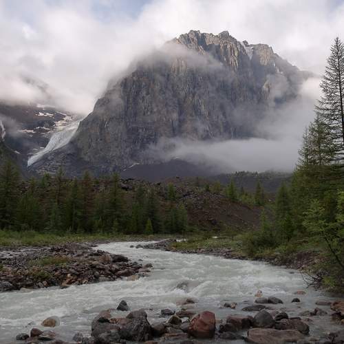 Photo #11844315
