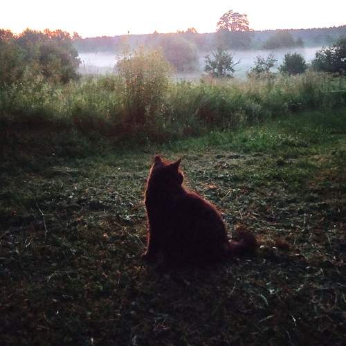 Photo #11844523