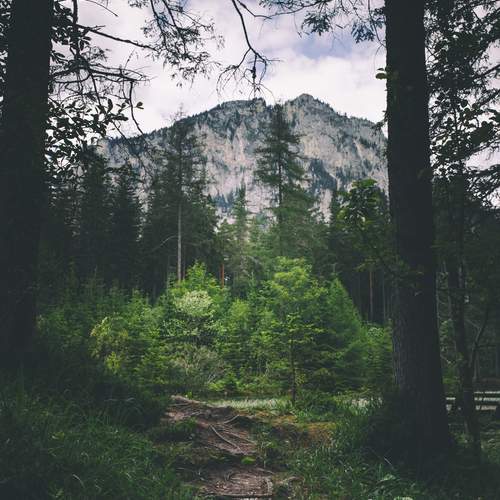 Photo #11844560