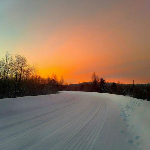 Photo #11844569