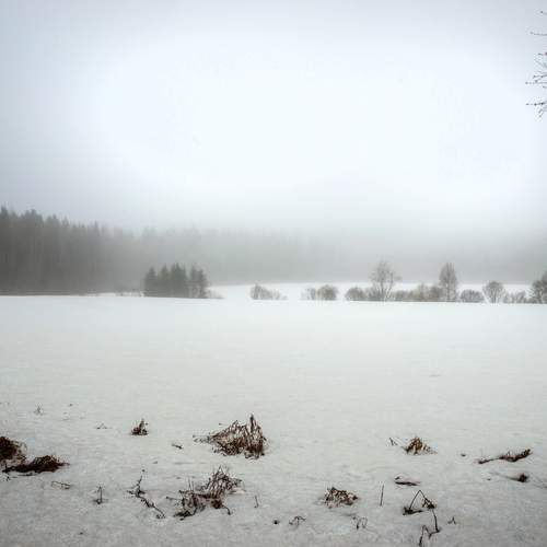 Photo #11844573