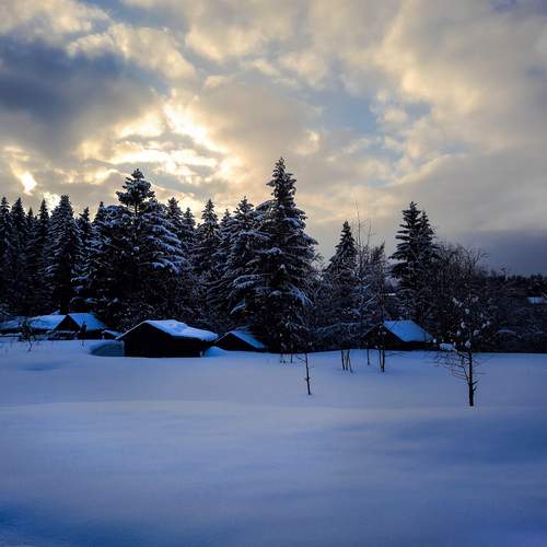 Photo #11844578