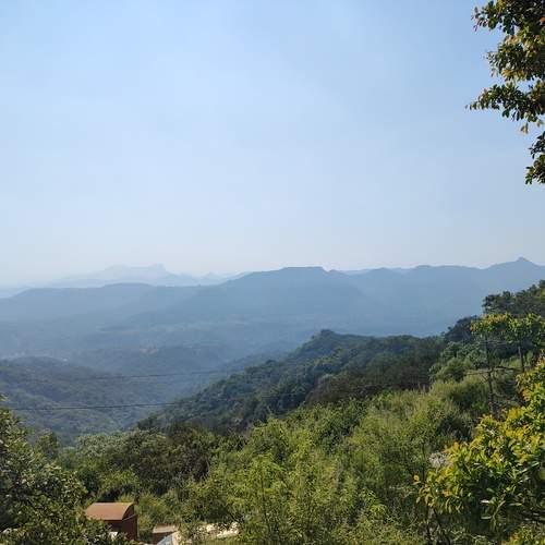 Photo #11844606