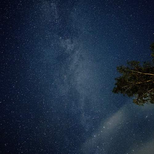Photo #11844624