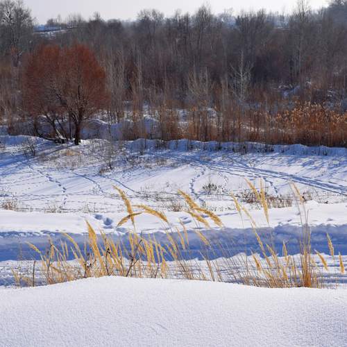 Photo #11844741