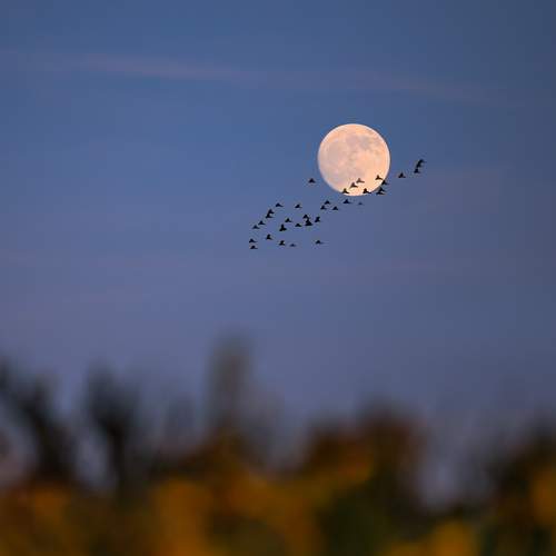 Photo #11844883