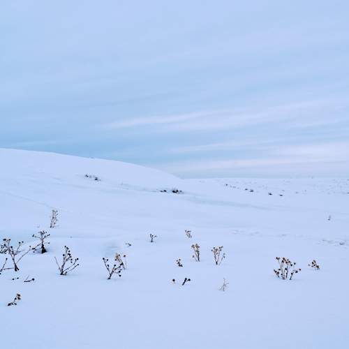 Photo #11844947
