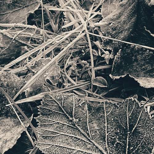 Photo #11844950