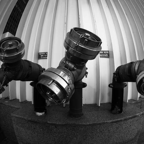 Photo #11845001