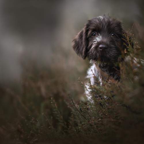 Фотография #11845024